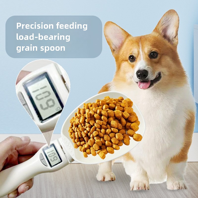 مقياس ملعقة قياس رقمي لأغذية ا - مراجعة Portion Scale Digital وسعره